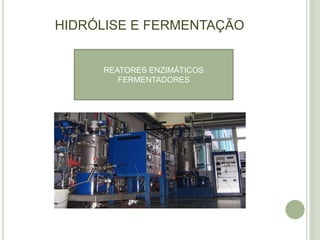 HIDRÓLISE E FERMENTAÇÃO


     REATORES ENZIMÁTICOS
        FERMENTADORES
 