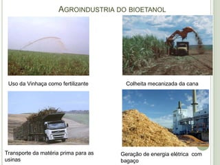 AGROINDUSTRIA DO BIOETANOL




 Uso da Vinhaça como fertilizante       Colheita mecanizada da cana




Transporte da matéria prima para as   Geração de energia elétrica com
usinas                                bagaço
 