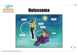 Bioenergias no cotidiano