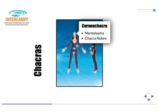 Bioenergias no cotidiano