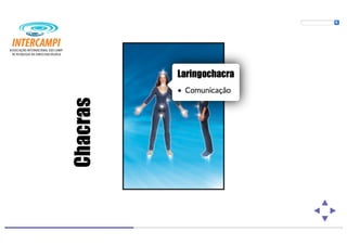 Bioenergias no cotidiano