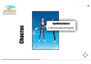 Bioenergias no cotidiano