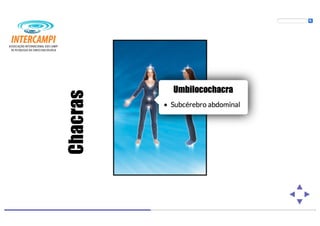 Bioenergias no cotidiano