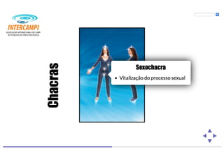 Bioenergias no cotidiano