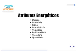 Bioenergias no cotidiano