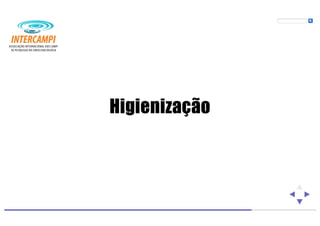 Bioenergias no cotidiano