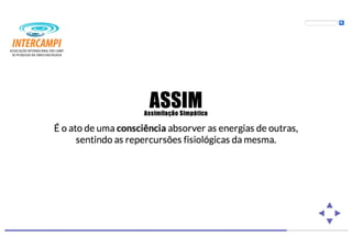 Bioenergias no cotidiano