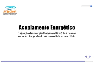 Bioenergias no cotidiano