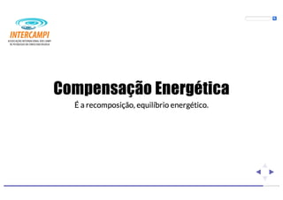 Bioenergias no cotidiano