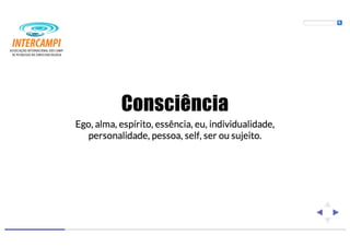 Bioenergias no cotidiano