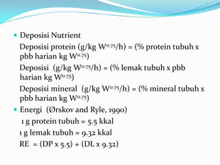  Deposisi Nutrient
Deposisi protein (g/kg W0.75/h) = (% protein tubuh x
pbb harian kg W0.75)
Deposisi (g/kg W0.75/h) = (% lemak tubuh x pbb
harian kg W0.75)
Deposisi mineral (g/kg W0.75/h) = (% mineral tubuh x
pbb harian kg W0.75)
 Energi (Ørskov and Ryle, 1990)
1 g protein tubuh = 5.5 kkal
1 g lemak tubuh = 9.32 kkal
RE = (DP x 5.5) + (DL x 9.32)
 