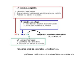 http://laguna.fmedic.unam.mx/~evazquez/0403/bioenergetica.html Relaciones entre los parámetros termodinámicos. 