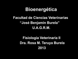 Bioenergética
Facultad de Ciencias Veterinarias
   “José Benjamin Burela”
           U.A.G.R.M.

     Fisiología Veterinaria II
    Dra. Rosa M. Teruya Burela
               2013
 
