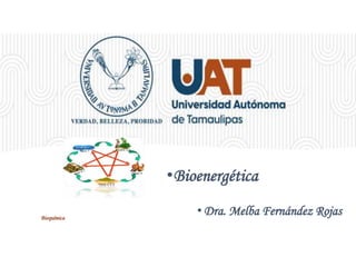 • Dra. Melba Fernández Rojas
•Bioenergética
Bioquímica
 