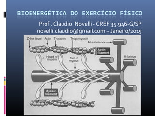 Prof . Claudio Novelli - CREF 35.946-G/SP
novelli.claudio@gmail.com – Janeiro/2015
 