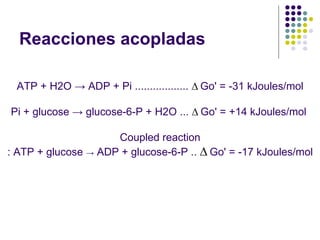 Reacciones acopladas ATP + H2O  ->  ADP + Pi ..................  ∆   Go' = -31 kJoules/mol Pi + glucose  ->  glucose-6-P + H2O ...  ∆   Go' = +14 kJoules/mol  Coupled reaction : ATP + glucose  ->  ADP + glucose-6-P ..  ∆   Go' = -17 kJoules/mol 