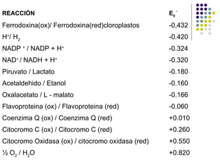 REACCIÓN  E 0  ' Ferrodoxina(ox)/ Ferrodoxina(red)cloroplastos  -0,432 H + / H 2 -0.420 NADP  +  / NADP + H + -0.324 NAD +  / NADH + H + -0.320 Piruvato / Lactato -0.180 Acetaldehido / Etanol -0.160 Oxalacetato / L - malato -0.166 Flavoproteina (ox) / Flavoproteina (red) -0.060 Coenzima Q (ox) / Coenzima Q (red) +0.010 Citocromo C (ox) / Citocromo C (red) +0.260 Citocromo Oxidasa (ox) / citocromo oxidasa (red) +0.550 ½ O 2  / H 2 O +0.820 