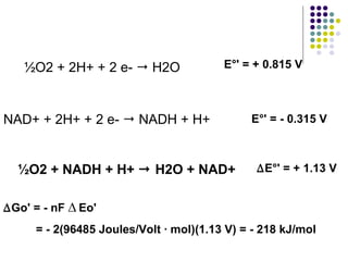 E°' = + 0.815 V   ½O2 + 2H+ + 2 e-    H2O  NAD+ + 2H+ + 2 e-    NADH + H+  E°' = - 0.315 V   ½O2 + NADH + H+    H2O + NAD+   ∆ E°' = + 1.13 V   ∆ Go' = - nF  ∆   Eo'  = - 2(96485 Joules/Volt · mol)(1.13 V) = - 218 kJ/mol 