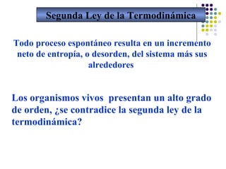 Segunda Ley de la Termodinámica Todo proceso espontáneo resulta en un incremento neto de entropía, o desorden, del sistema más sus alrededores  Los organismos vivos  presentan un alto grado de orden, ¿se contradice la segunda ley de la termodinámica? 