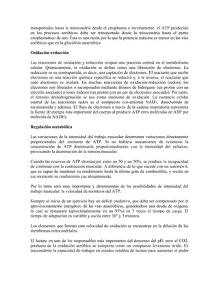 transportados hasta la mitocondria desde el citoplasma e inversamente, el ATP producido
en los procesos aeróbicos debe ser transportado desde la mitocondria hasta el punto
citoplasmático de uso. Ésta es una razón por la que la potencia máxima es menor en las vías
aeróbicas que en la glucólisis anaeróbica.
Oxidación-reducción
Las reacciones de oxidación y reducción ocupan una posición central en el metabolismo
celular. Químicamente, la oxidación se define como una liberación de electrones. La
reducción es su contrapartida, es decir, una captación de electrones. El reactante que recibe
electrones en una reacción química específica se reducirá y, a la inversa, el reactante que
cede electrones se oxidará. En muchas reacciones de oxidación-reducción (redox), los
electrones son liberados o incorporados mediante átomos de hidrógeno (un protón con un
electrón asociado) o iones hidruro (un protón con un par de electrones asociado). Por tanto,
el término deshidrogenación se usa como sinónimo de oxidación. La sustancia celular
central de las reacciones redox es el compuesto (co-enzima) NAD+, dinucleótido de
nicotinamida y adenina. El flujo de electrones a través de la cadena respiratoria representa
la fuente de energía más importante del cuerpo al producir ATP (tres moléculas de ATP por
molécula de NADH).
Regulación metabólica
Las variaciones de la intensidad del trabajo muscular determinan variaciones directamente
proporcionales del consumo de ATP. Si no hubiera mecanismos de resíntesis la
concentración de ATP disminuiría proporcionalmente con la intensidad del esfuerzo,
provocando la disminución de la tensión muscular.
Cuando las reservas de ATP disminuyen entre un 30 y un 50%, se produce la incapacidad
de continuar con la contracción muscular. A diferencia de lo que sucede con un automóvil,
que es capaz de mantener su rendimiento hasta la última gota de combustible, y recién en
ese momento su rendimiento cae abruptamente.
Por lo tanto será muy importante y determinante de las posibilidades de intensidad del
trabajo muscular: la velocidad de resíntesis del ATP.
Siempre al inicio de un ejercicio hay un déficit oxidativo, que debe ser compensado por el
aprovisionamiento energético de las vías anaeróbicas, generándose una deuda de oxígeno,
la cual se restaurará (aproximadamente en un 95%) en 3 veces el tiempo de carga. El
tiempo de adaptación es variable y oscila entre 30" y 3 minutos.
Los elementos que limitan esta velocidad de oxidación se encuentran en la difusión de las
membranas mitocondriales.
El lactato en uno de los responsables más importantes del descenso del pH, pero el CO2,
producto de la oxidación aeróbica se comporta como un compuesto levemente ácido. Es
trascendente la capacidad de trabajar en estados estables de lactato para aumentar el poder
 