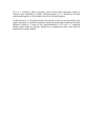 Si el A. L. formado en fibras musculares activas alcanza fibras adyacentes, puede ser
utilizado como combustible y oxidado. Alternativamente, el A. L. formado en las fibras
activas puede ingresar en la red capilar y de ahí a la circulación general.
La liberación de A. L. del tejido muscular activo durante el ejercicio será recirculado a esos
grupos musculares en cuestión de segundos, siendo nuevamente aprovechado por las fibras
altamente oxidativas. A causa de ésto, aproximadamente el 75% del A. L. producido
durante estado estable (en ejercicio submáximo), es rápidamente usado como fuente de
producción de energía aeróbica.
 
