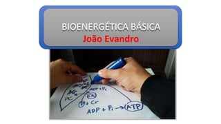 BIOENERGÉTICA BÁSICA
João Evandro
 