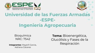 Universidad de las Fuerzas Armadas
-ESPE-
Ingeniería Agropecuaria
Bioquímica
NRC: 7542
Integrantes: Mayerli García,
Adriana Cáceres
Tema: Bioenergética,
Glucólisis y Fases de la
Respiración
 