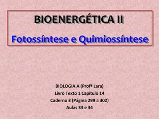 BIOENERGÉTICA II
Fotossíntese e Quimiossíntese
BIOENERGÉTICA II
Fotossíntese e Quimiossíntese
BIOLOGIA A (Profª Lara)
Livro Texto 1 Capítulo 14
Caderno 3 (Página 299 a 302)
Aulas 33 e 34
 