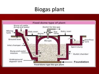 Biogas plant
 