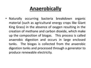 Anaerobically
• Naturally occurring bacteria breakdown organic
material (such as agricultural energy crops like Giant
King Grass) in the absence of oxygen resulting in the
creation of methane and carbon dioxide, which make
up the composition of biogas. This process is called
anaerobic digestion and occurs in large enclosed
tanks. The biogas is collected from the anaerobic
digestion tanks and processed through a generator to
produce renewable electricity.
 