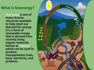 Bioenergy | PPTX