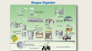 Biogas Digester
 