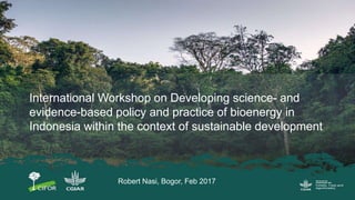 International Workshop on Developing science- and
evidence-based policy and practice of bioenergy in
Indonesia within the context of sustainable development
Robert Nasi, Bogor, Feb 2017
 