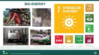 International Workshop on Developing science- and evidence-based policy and practice of bioenergy in Indonesia within the context of sustainable development