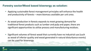 International Workshop on Developing science- and evidence-based policy and practice of bioenergy in Indonesia within the context of sustainable development