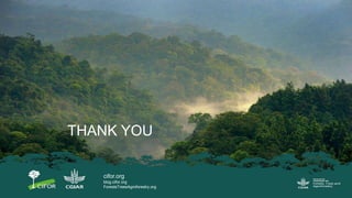 International Workshop on Developing science- and evidence-based policy and practice of bioenergy in Indonesia within the context of sustainable development