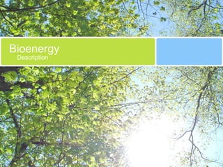 Bioenergy
Description
 