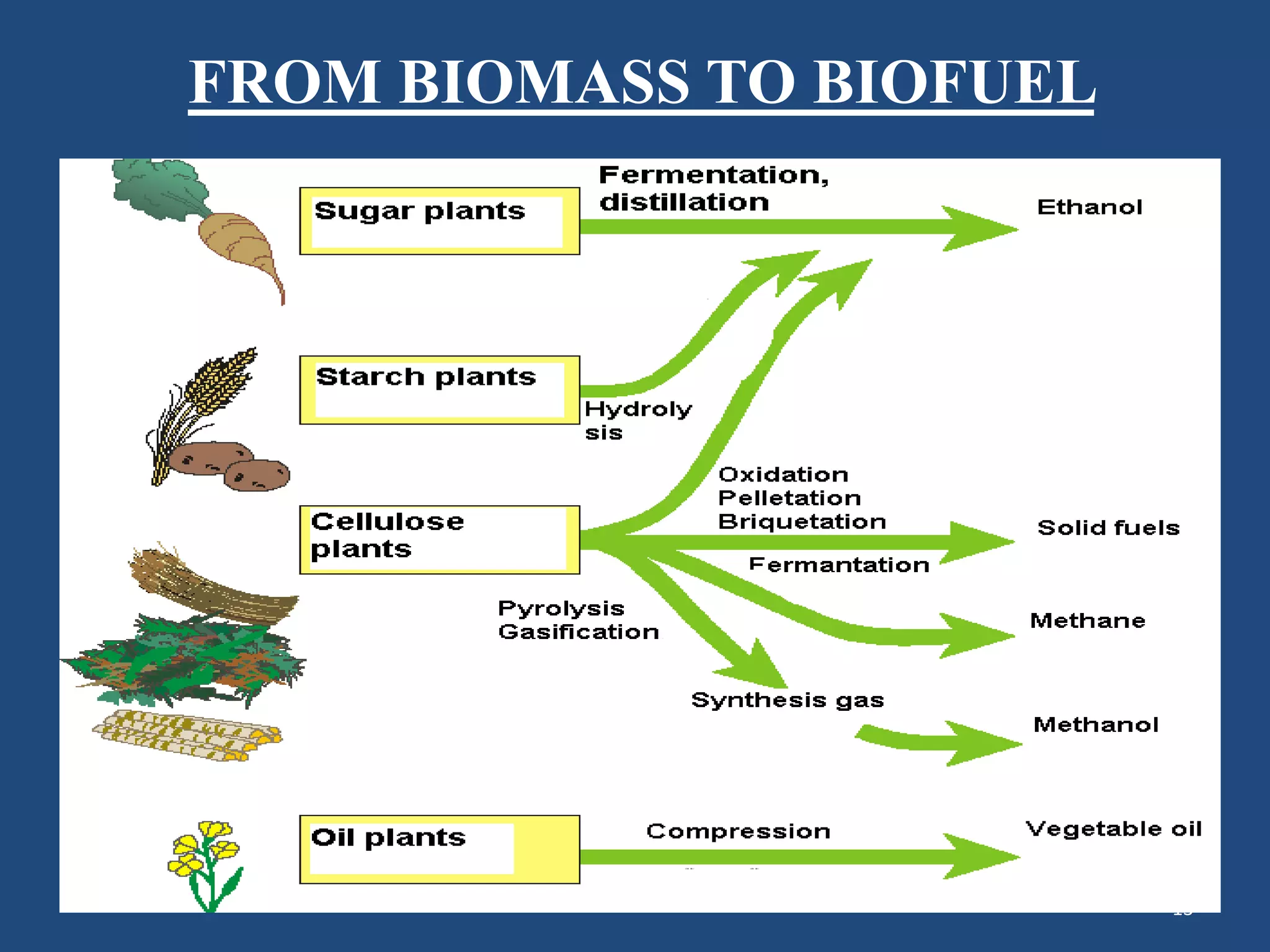 FROM BIOMASS TO BIOFUEL
13
 