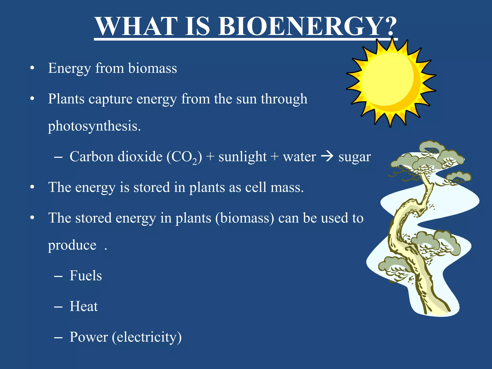 WHAT IS BIOENERGY?
• Energy from biomass
• Plants capture energy from the sun through
photosynthesis.
– Carbon dioxide (CO2) + sunlight + water  sugar
• The energy is stored in plants as cell mass.
• The stored energy in plants (biomass) can be used to
produce .
– Fuels
– Heat
– Power (electricity)
 