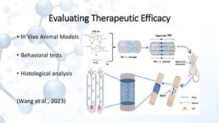 Bioengineered Hydrogels with Tunable Stiffness for Modulating Stem Cell ...