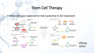 Bioengineered Hydrogels with Tunable Stiffness for Modulating Stem Cell ...