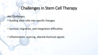 Bioengineered Hydrogels with Tunable Stiffness for Modulating Stem Cell ...