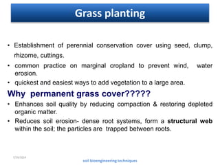 bioengineering-130828025353-phpapp02.pptx