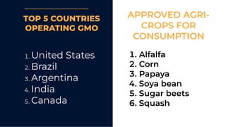 TOP 5 COUNTRIES
OPERATING GMO
. United States
. Brazil
. Argentina
. India
. Canada
. Alfalfa
. Corn
. Papaya
. Soya bean
. Sugar beets
. Squash
APPROVED AGRI-
CROPS FOR
CONSUMPTION
 