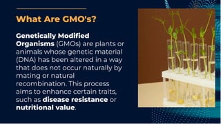 What Are GMO's?
Genetically Modiﬁed
Organisms (GMOs) are plants or
animals whose genetic material
(DNA) has been altered in a way
that does not occur naturally by
mating or natural
recombination. This process
aims to enhance certain traits,
such as disease resistance or
nutritional value.
 