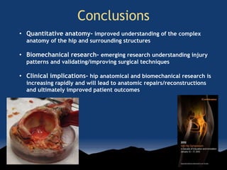 Conclusions
• Quantitative anatomy- improved understanding of the complex
anatomy of the hip and surrounding structures
• Biomechanical research- emerging research understanding injury
patterns and validating/improving surgical techniques
• Clinical implications- hip anatomical and biomechanical research is
increasing rapidly and will lead to anatomic repairs/reconstructions
and ultimately improved patient outcomes
 