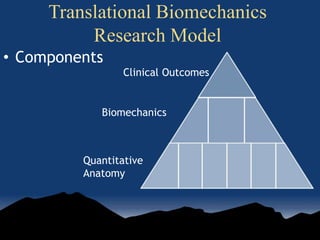 Translational Biomechanics
Research Model
• Components
Quantitative
Anatomy
Biomechanics
Clinical Outcomes
 