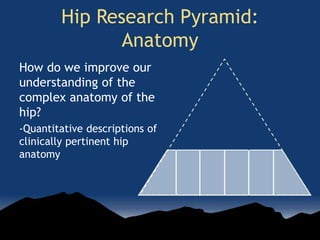 How do we improve our
understanding of the
complex anatomy of the
hip?
-Quantitative descriptions of
clinically pertinent hip
anatomy
Hip Research Pyramid:
Anatomy
 