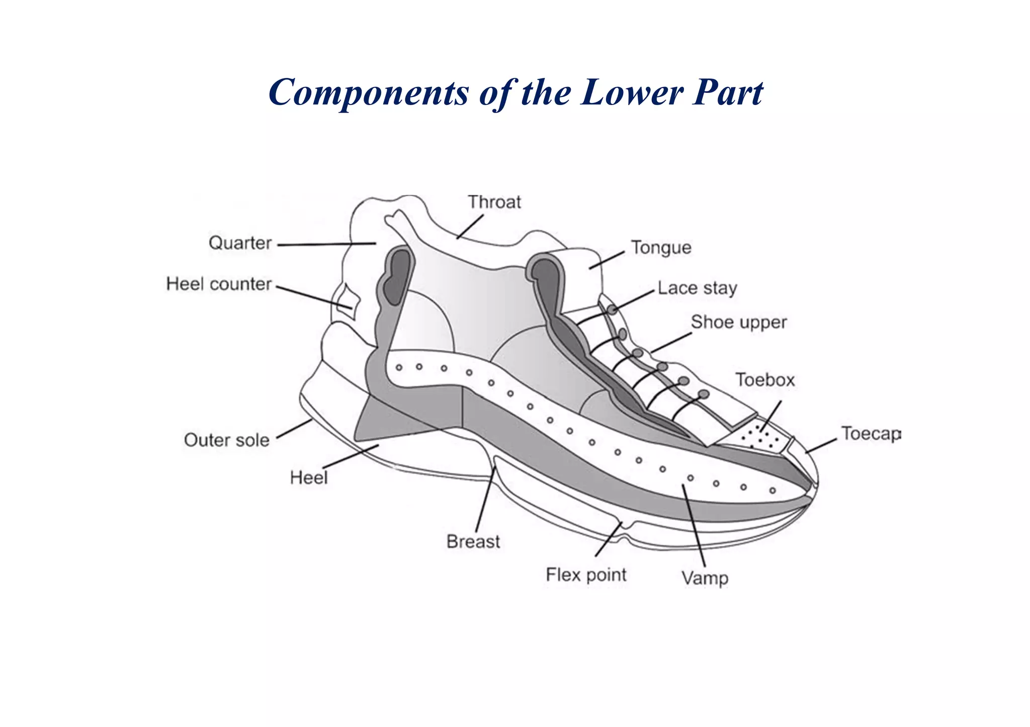 Components of the Lower Part
 