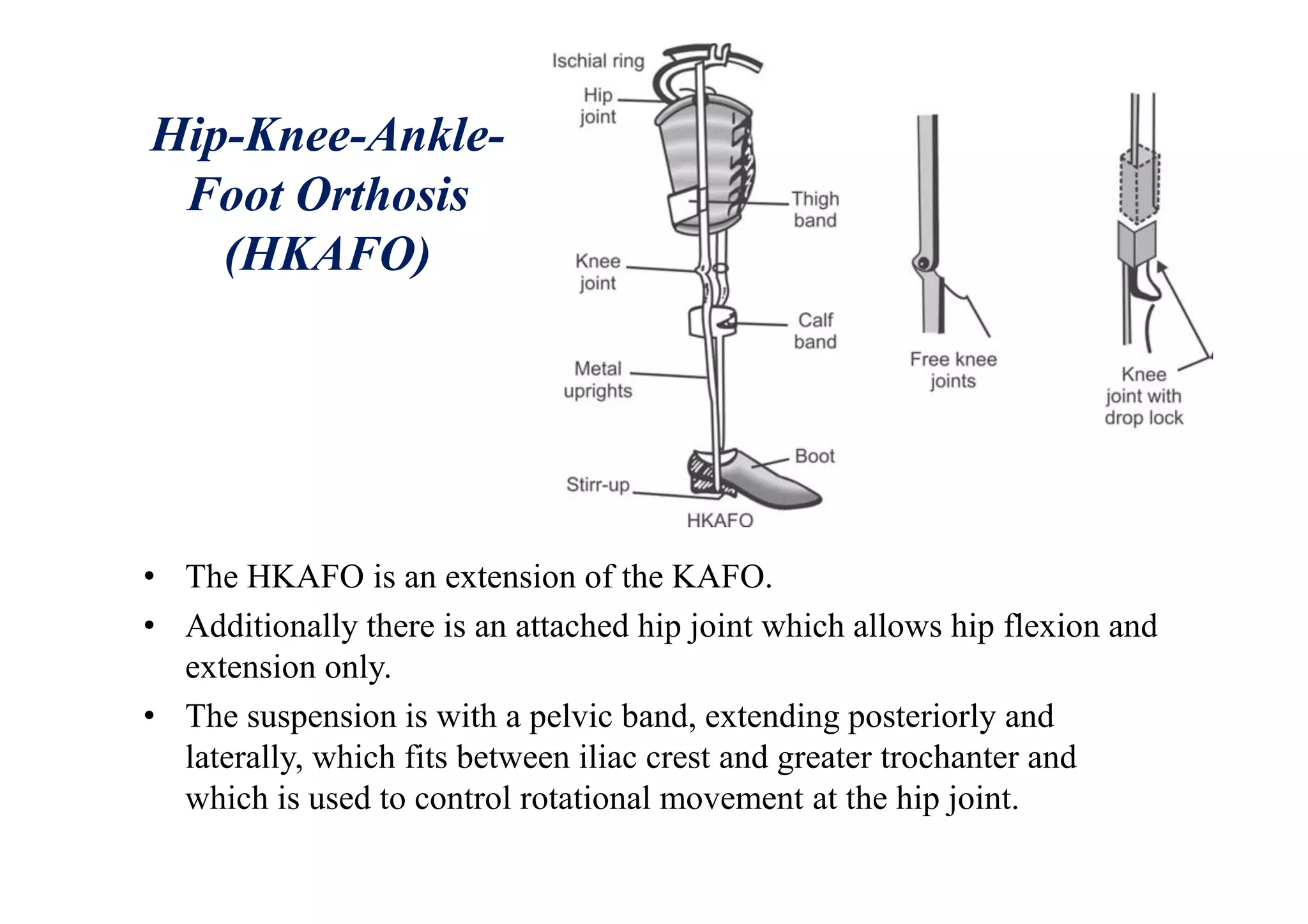 Hip-Knee-Ankle-
Foot Orthosis
(HKAFO)
• The HKAFO is an extension of the KAFO.
• Additionally there is an attached hip joint which allows hip flexion and
extension only.
• The suspension is with a pelvic band, extending posteriorly and
laterally, which fits between iliac crest and greater trochanter and
which is used to control rotational movement at the hip joint.
 